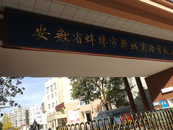 大理白族自治州蚌埠市新城实验中学